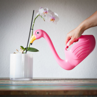 Flamingo Gießkanne