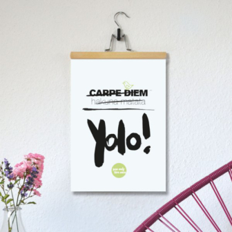 Yolo Poster