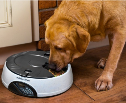 Programmierbare Futter-Station für Haustiere