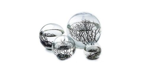 Ecosphere Kugel