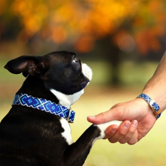 Freundschaftsarm- und Halsband-Set für Mensch und Hund
