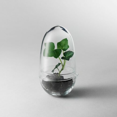 Mini Design-Gewächshaus von Design House Stockholm