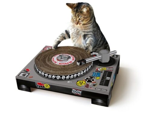 Katzen Kratzmatte DJ-Pult