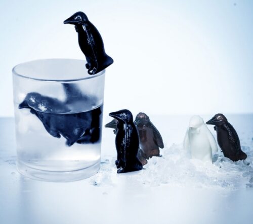 Pinguin Coolers Getr Nkek Hler Geschenk F R