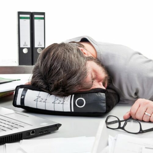 Schlafkissen fürs Büro – Kissen in Aktenordner-Optik von Donkey Products