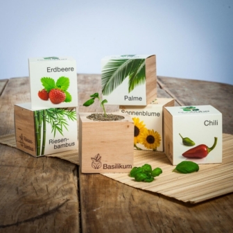 Ecocube – Pflanzen im Holzwürfel