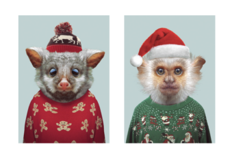 Weihnachtsgrußkarten im Tierdesign