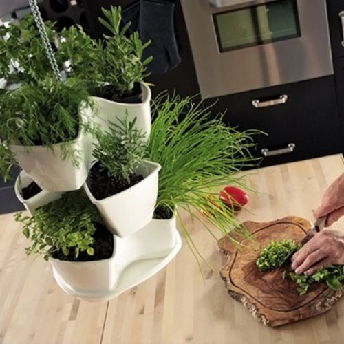 Hängender Kräutergarten