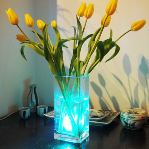 Unterwasserleuchte für Vasen